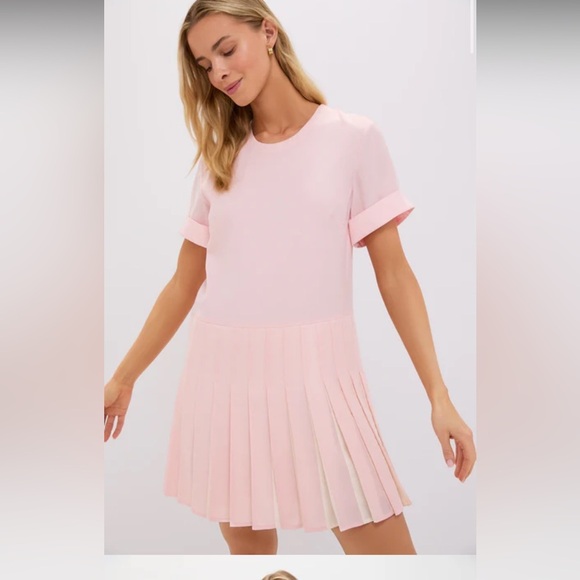 Tuckernuck Dresses & Skirts - TUCKERNUCK Ballet Pleated Liza Dress